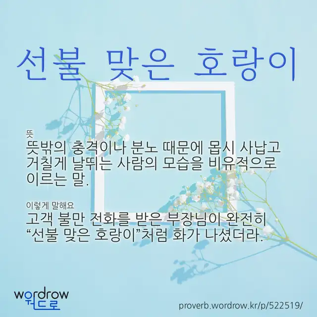 “선불 맞은 호랑이” 글씨와 뜻·예문이 완성된 속담 영상 포스터