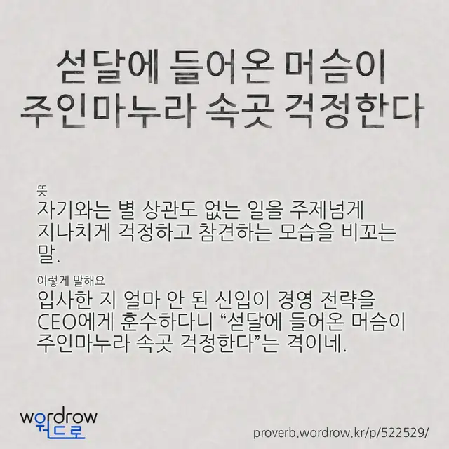 “섣달에 들어온 머슴이 주인마누라 속곳 걱정한다” 글씨와 뜻·예문이 완성된 속담 영상 포스터