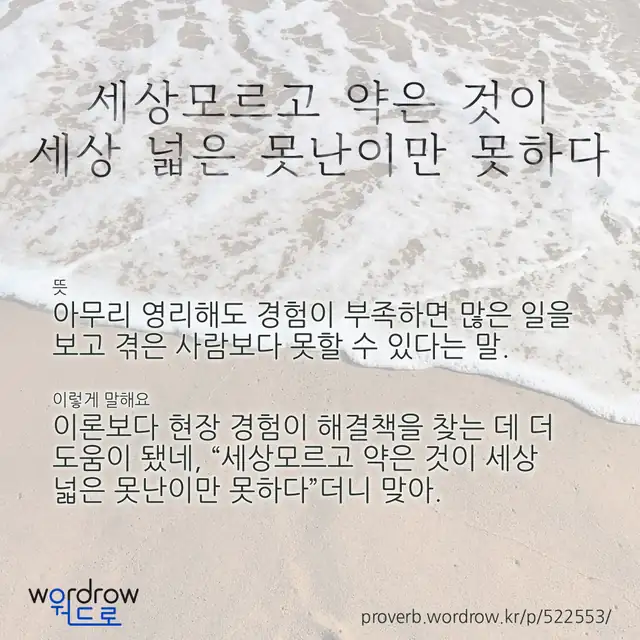 “세상모르고 약은 것이 세상 넓은 못난이만 못하다” 글씨와 뜻·예문이 완성된 속담 영상 포스터