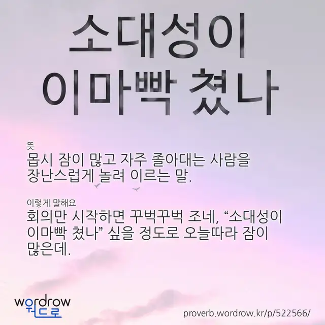 “소대성이 이마빡 쳤나” 글씨와 뜻·예문이 완성된 속담 영상 포스터