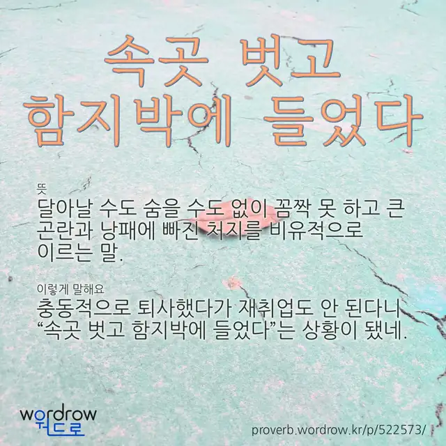 “속곳 벗고 함지박에 들었다” 글씨와 뜻·예문이 완성된 속담 영상 포스터