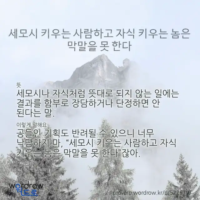 “세모시 키우는 사람하고 자식 키우는 놈은 막말을 못 한다” 글씨와 뜻·예문이 완성된 속담 영상 포스터