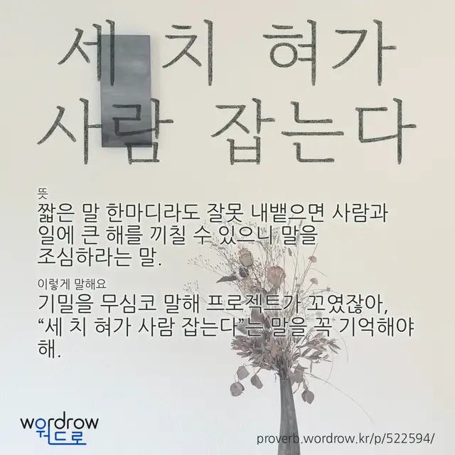 “세 치 혀가 사람 잡는다” 글씨와 뜻·예문이 완성된 속담 영상 포스터
