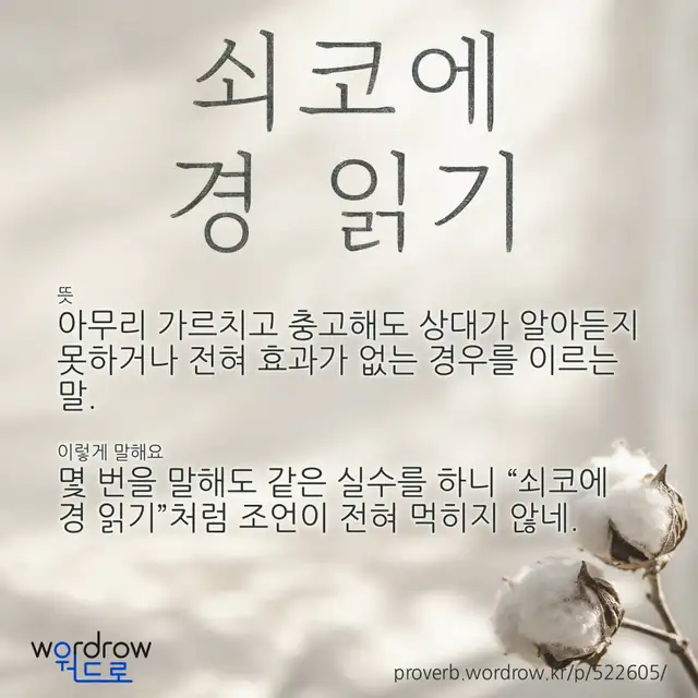 “쇠코에 경 읽기” 글씨와 뜻·예문이 완성된 속담 영상 포스터