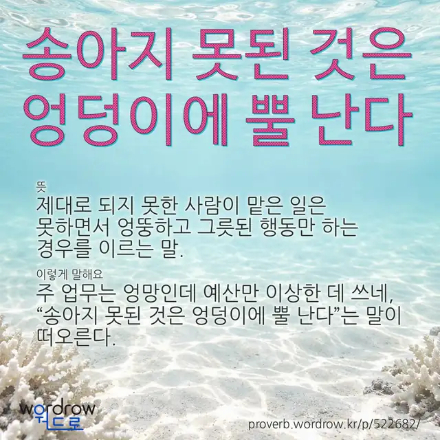“송아지 못된 것은 엉덩이에 뿔 난다” 글씨와 뜻·예문이 완성된 속담 영상 포스터