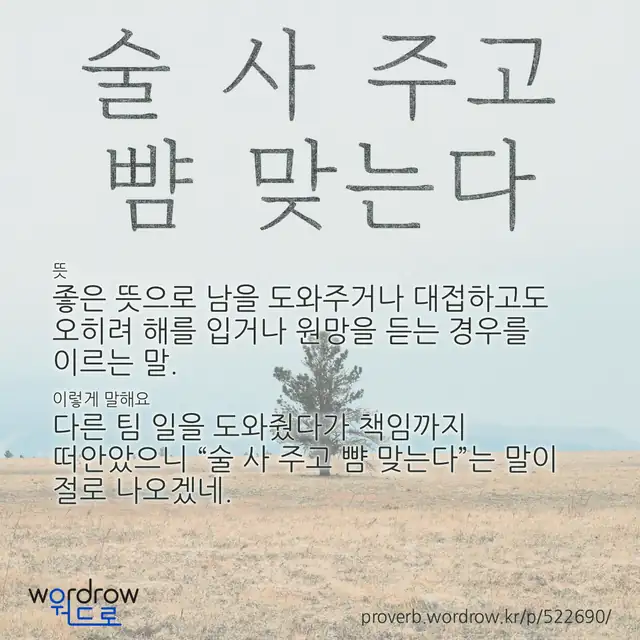 “술 사 주고 뺨 맞는다” 글씨와 뜻·예문이 완성된 속담 영상 포스터