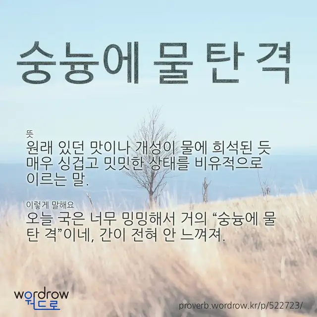 “숭늉에 물 탄 격” 글씨와 뜻·예문이 완성된 속담 영상 포스터
