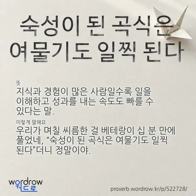 “숙성이 된 곡식은 여물기도 일찍 된다” 글씨와 뜻·예문이 완성된 속담 영상 포스터