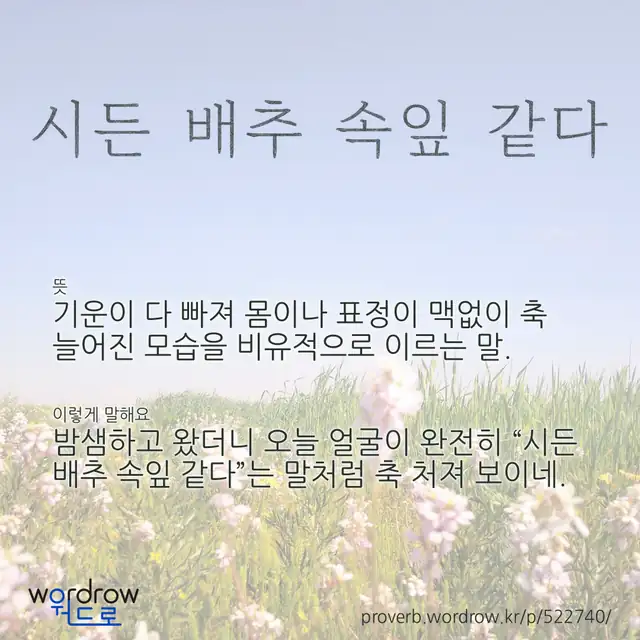 “시든 배추 속잎 같다” 글씨와 뜻·예문이 완성된 속담 영상 포스터