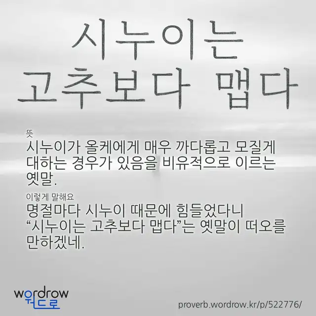 “시누이는 고추보다 맵다” 글씨와 뜻·예문이 완성된 속담 영상 포스터