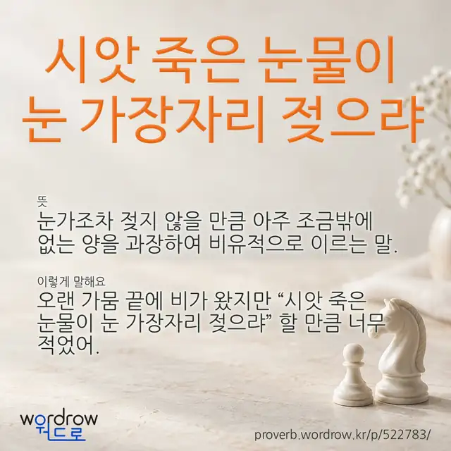 “시앗 죽은 눈물이 눈 가장자리 젖으랴” 글씨와 뜻·예문이 완성된 속담 영상 포스터