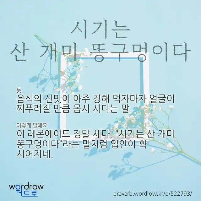 “시기는 산 개미 똥구멍이다” 글씨와 뜻·예문이 완성된 속담 영상 포스터