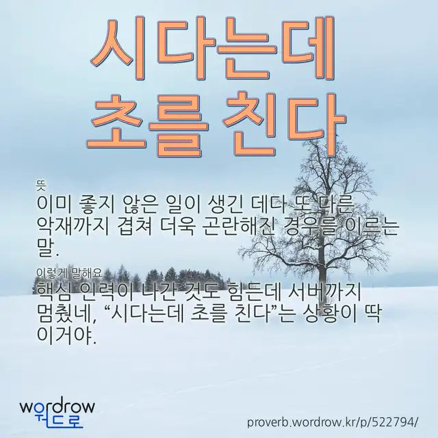 “시다는데 초를 친다” 글씨와 뜻·예문이 완성된 속담 영상 포스터