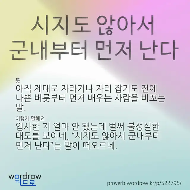 “시지도 않아서 군내부터 먼저 난다” 글씨와 뜻·예문이 완성된 속담 영상 포스터