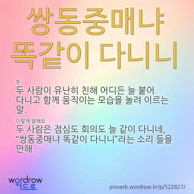 “쌍동중매냐 똑같이 다니니” 글씨와 뜻·예문이 완성된 속담 영상 포스터