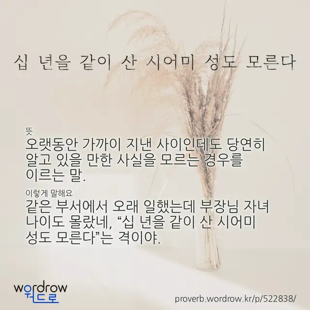 “십 년을 같이 산 시어미 성도 모른다” 글씨와 뜻·예문이 완성된 속담 영상 포스터