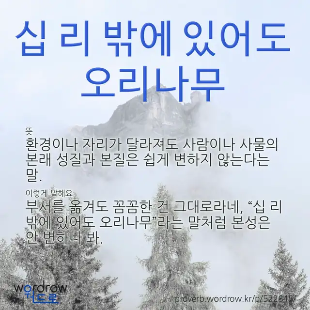 “십 리 밖에 있어도 오리나무” 글씨와 뜻·예문이 완성된 속담 영상 포스터
