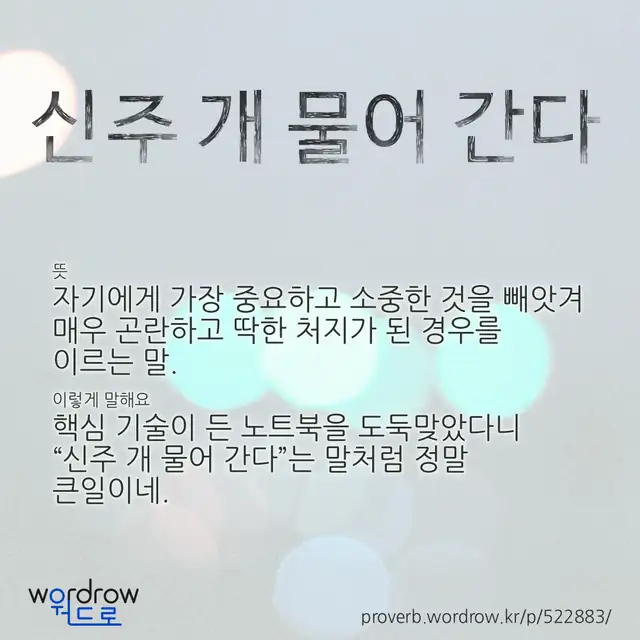 “신주 개 물어 간다” 글씨와 뜻·예문이 완성된 속담 영상 포스터