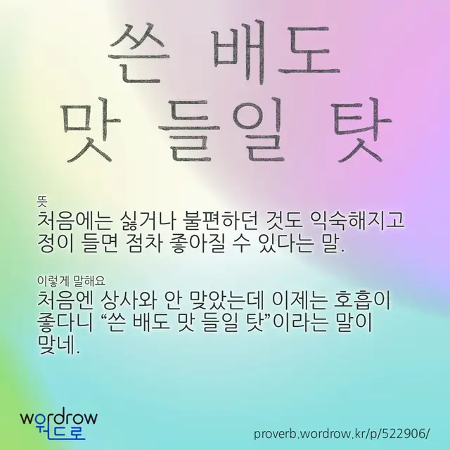 “쓴 배도 맛 들일 탓” 글씨와 뜻·예문이 완성된 속담 영상 포스터