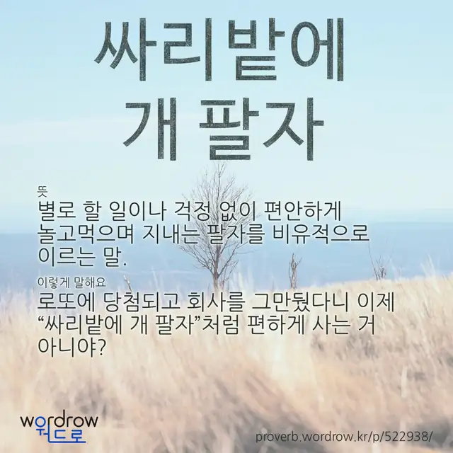 “싸리밭에 개 팔자” 글씨와 뜻·예문이 완성된 속담 영상 포스터