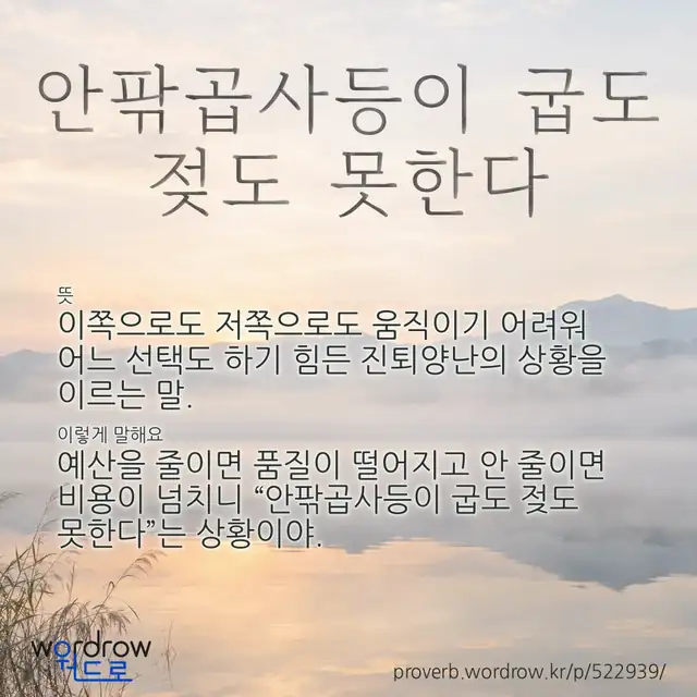 “안팎곱사등이 굽도 젖도 못한다” 글씨와 뜻·예문이 완성된 속담 영상 포스터