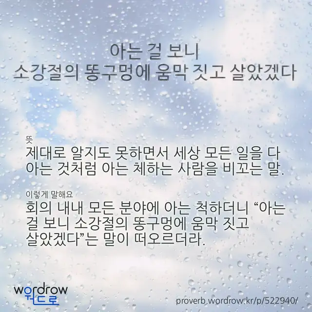 “아는 걸 보니 소강절의 똥구멍에 움막 짓고 살았겠다” 글씨와 뜻·예문이 완성된 속담 영상 포스터
