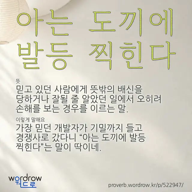 “아는 도끼에 발등 찍힌다” 글씨와 뜻·예문이 완성된 속담 영상 포스터