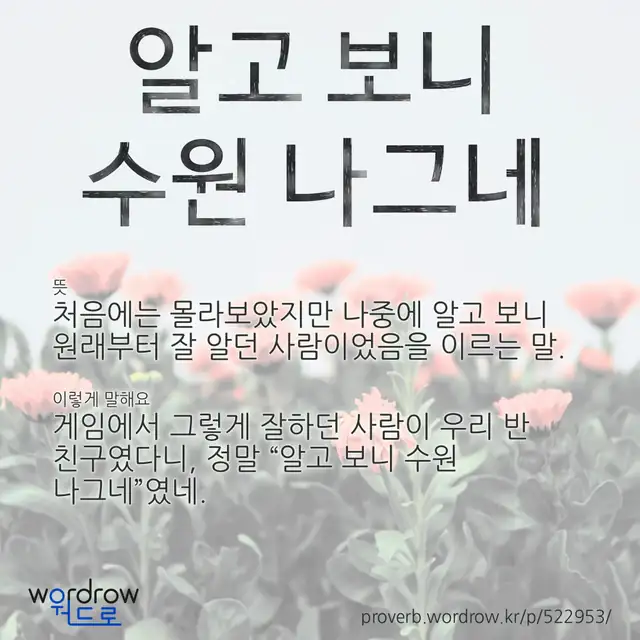 “알고 보니 수원 나그네” 글씨와 뜻·예문이 완성된 속담 영상 포스터