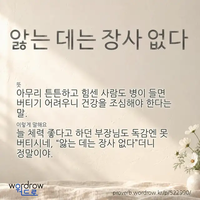 “앓는 데는 장사 없다” 글씨와 뜻·예문이 완성된 속담 영상 포스터