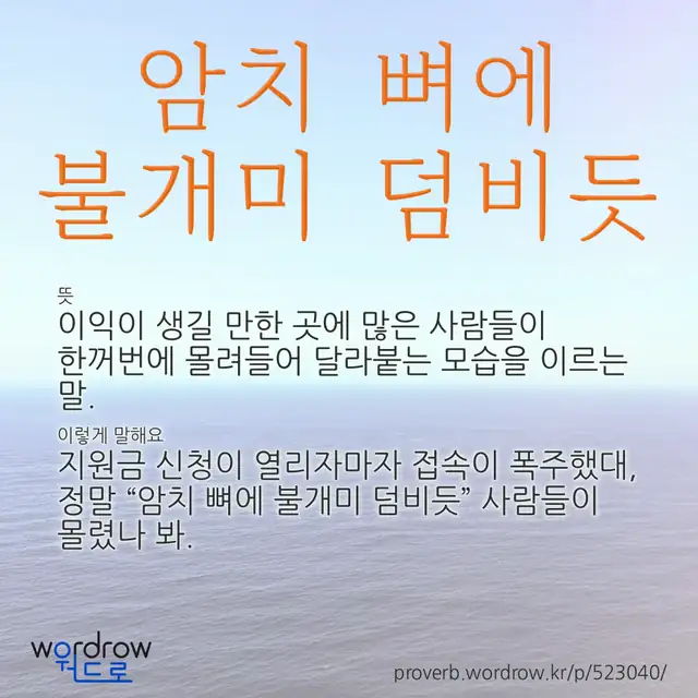 “암치 뼈에 불개미 덤비듯” 글씨와 뜻·예문이 완성된 속담 영상 포스터