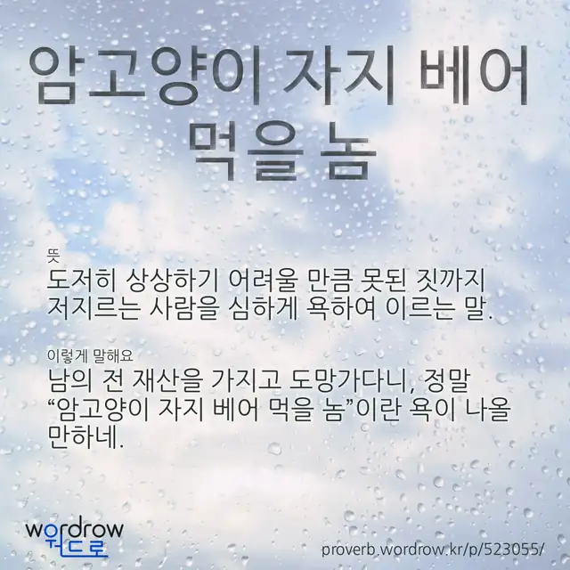 “암고양이 자지 베어 먹을 놈” 글씨와 뜻·예문이 완성된 속담 영상 포스터