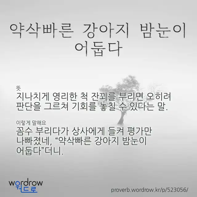 “약삭빠른 강아지 밤눈이 어둡다” 글씨와 뜻·예문이 완성된 속담 영상 포스터