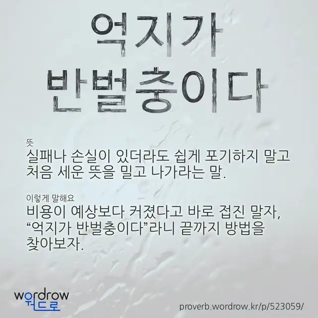“억지가 반벌충이다” 글씨와 뜻·예문이 완성된 속담 영상 포스터