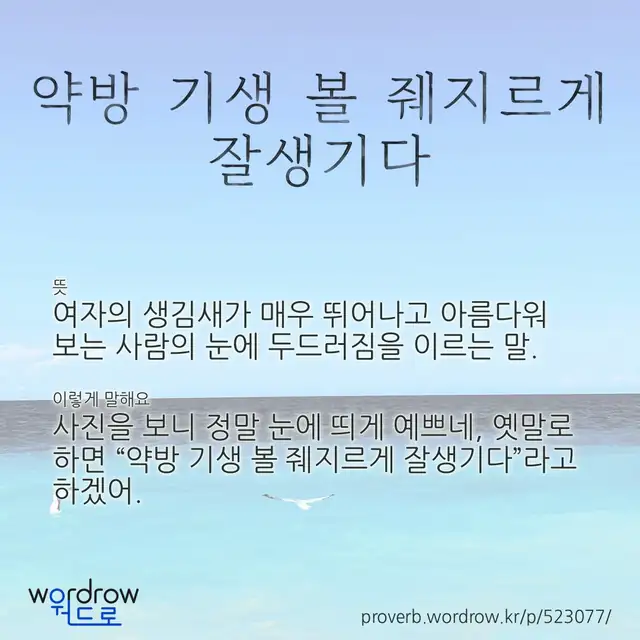 “약방 기생 볼 줴지르게 잘생기다” 글씨와 뜻·예문이 완성된 속담 영상 포스터