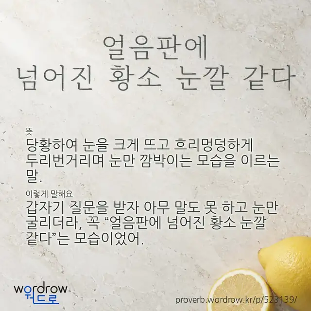 “얼음판에 넘어진 황소 눈깔 같다” 글씨와 뜻·예문이 완성된 속담 영상 포스터