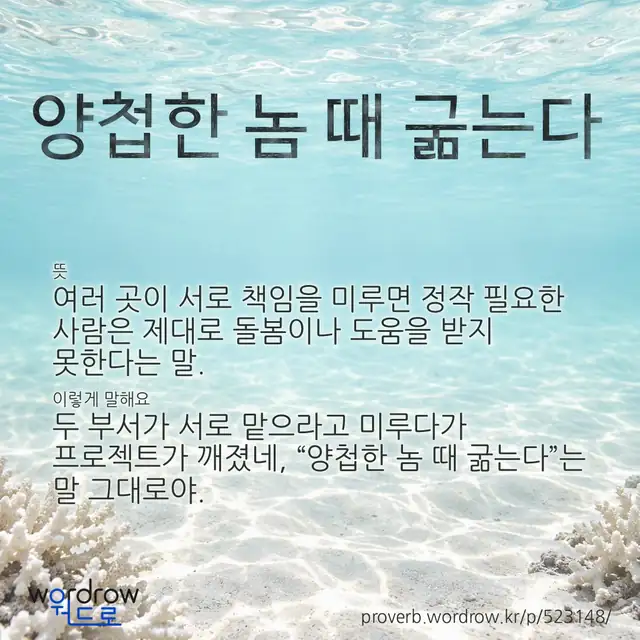 “양첩한 놈 때 굶는다” 글씨와 뜻·예문이 완성된 속담 영상 포스터