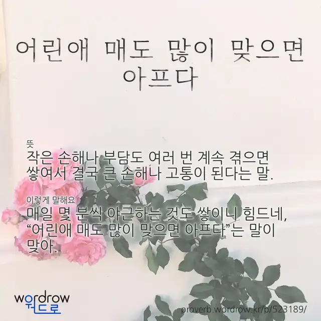“어린애 매도 많이 맞으면 아프다” 글씨와 뜻·예문이 완성된 속담 영상 포스터