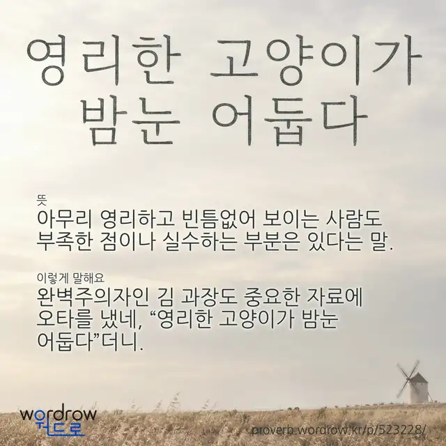 “영리한 고양이가 밤눈 어둡다” 글씨와 뜻·예문이 완성된 속담 영상 포스터
