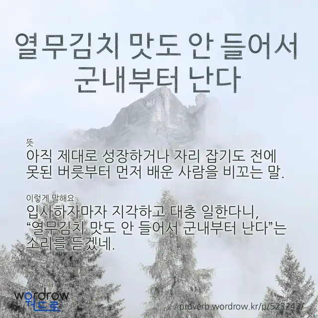 “열무김치 맛도 안 들어서 군내부터 난다” 글씨와 뜻·예문이 완성된 속담 영상 포스터