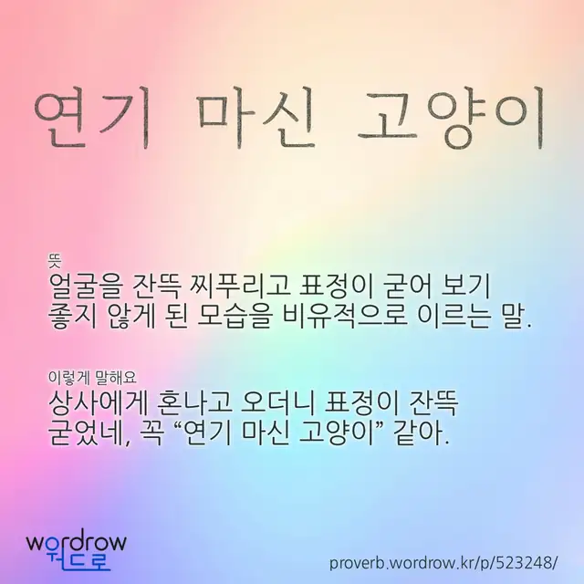 “연기 마신 고양이” 글씨와 뜻·예문이 완성된 속담 영상 포스터