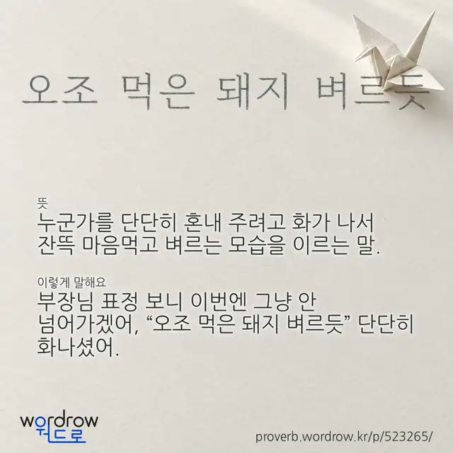 “오조 먹은 돼지 벼르듯” 글씨와 뜻·예문이 완성된 속담 영상 포스터