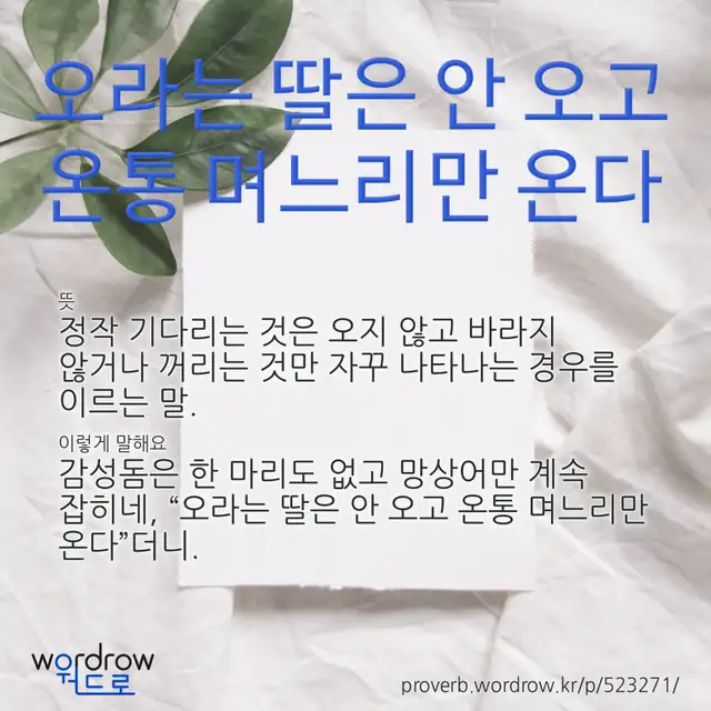 “오라는 딸은 안 오고 온통 며느리만 온다” 글씨와 뜻·예문이 완성된 속담 영상 포스터