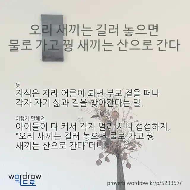 “오리 새끼는 길러 놓으면 물로 가고 꿩 새끼는 산으로 간다” 글씨와 뜻·예문이 완성된 속담 영상 포스터