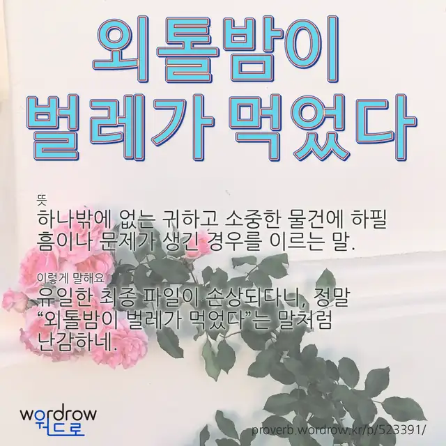 “외톨밤이 벌레가 먹었다” 글씨와 뜻·예문이 완성된 속담 영상 포스터