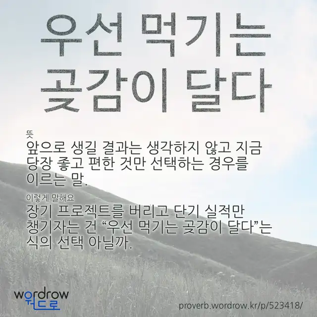 “우선 먹기는 곶감이 달다” 글씨와 뜻·예문이 완성된 속담 영상 포스터