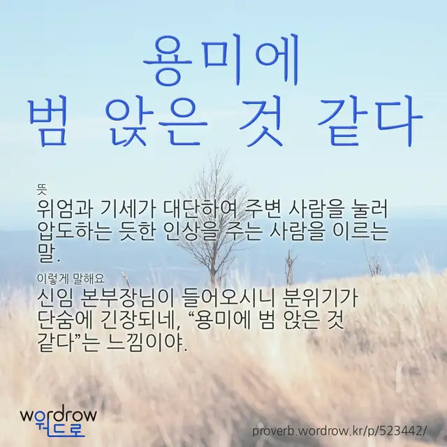 “용미에 범 앉은 것 같다” 글씨와 뜻·예문이 완성된 속담 영상 포스터