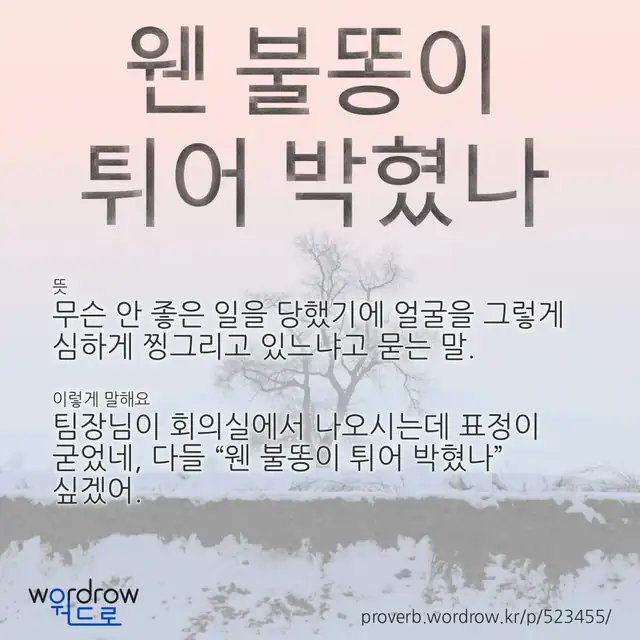 “웬 불똥이 튀어 박혔나” 글씨와 뜻·예문이 완성된 속담 영상 포스터