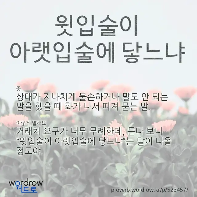 “윗입술이 아랫입술에 닿느냐” 글씨와 뜻·예문이 완성된 속담 영상 포스터