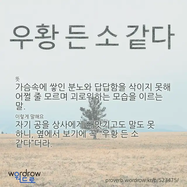 “우황 든 소 같다” 글씨와 뜻·예문이 완성된 속담 영상 포스터