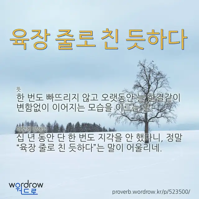 “육장 줄로 친 듯하다” 글씨와 뜻·예문이 완성된 속담 영상 포스터